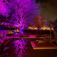 22-12-19 19-57-36 3681